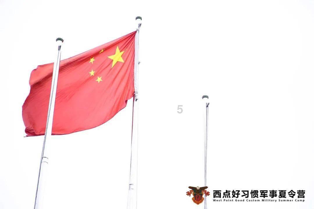 拯救受伤的猫